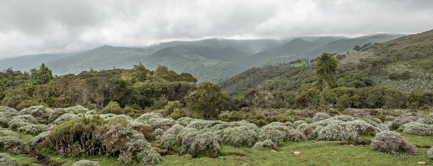 [Group 33]-DSC 7348 DSC 7349-2 images